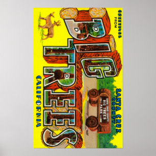 Big Trees, Californië - grote lettertjes Poster