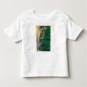 Big Trees Lodge in de Mariposa Grove Kinder Shirts