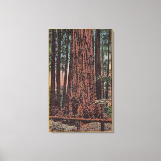 Big Trees State Park, CA - Neck Breaker Tree Canvas Afdruk (Voorkant)