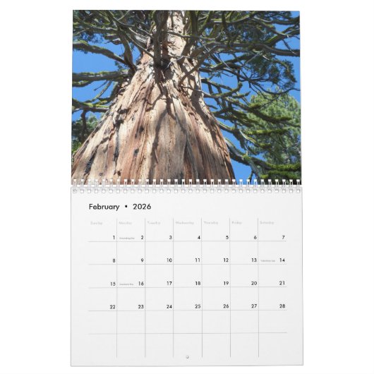 Big Trees van Californië Kalender (Feb 2026)