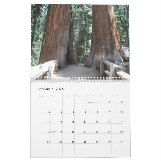 Big Trees van Californië Kalender (Jan 2026)