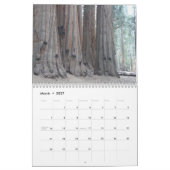 Big Trees van Californië Kalender (Mar 2027)