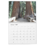 Big Trees van Californië Kalender (Jan 2027)