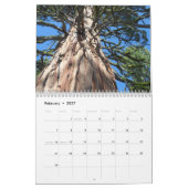 Big Trees van Californië Kalender (Feb 2027)