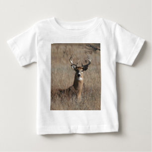 Big Trophy Buck Deer in Tall Grass Camo