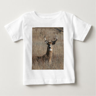 Big Trophy Buck Deer in Tall Grass Camo