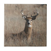 Big Trophy Buck Deer in Tall Grass Camo Tegeltje (Voorkant)
