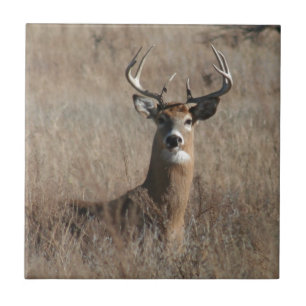 Big Trophy Buck Deer in Tall Grass Camo Tegeltje