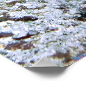 Big Ugly Eel Poster (Hoek)