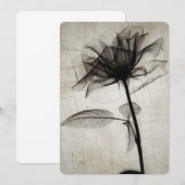 Big Vintage X-Ray Flower (Voorkant / Achterkant)