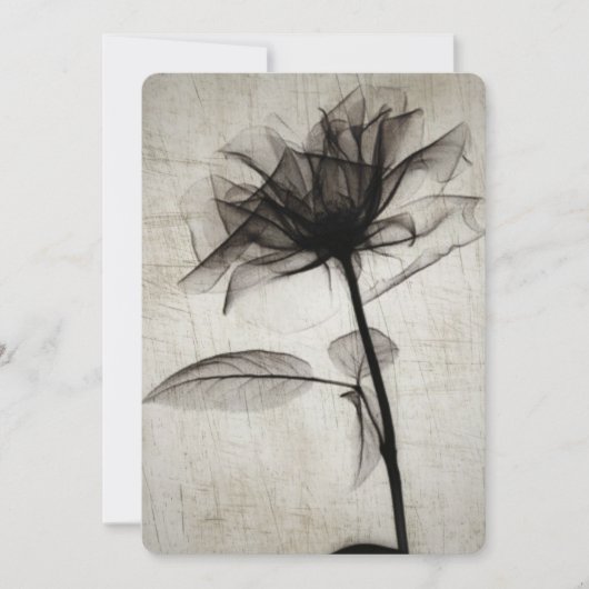 Big Vintage X-Ray Flower (Voorkant)