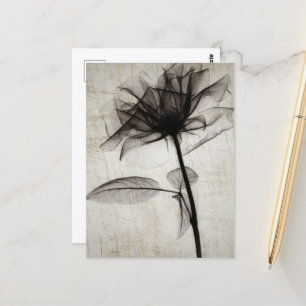 Big Vintage X-Ray Flower Briefkaart
