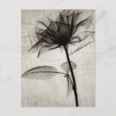 Big Vintage X-Ray Flower Briefkaart (Voorkant)