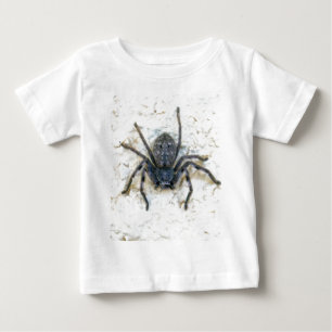 Big Vrouw Huntsman Spider