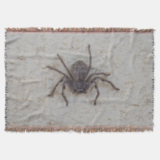 Big Vrouw Huntsman Spider Deken (Voorkant)
