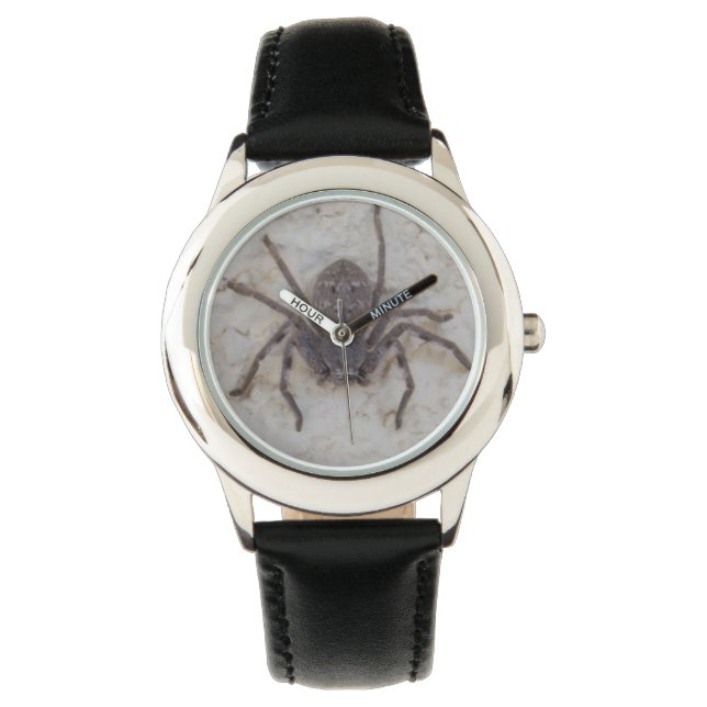 Big Vrouw Huntsman Spider Horloge (Voorkant)