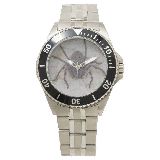 Big Vrouw Huntsman Spider Horloge (Voorkant)