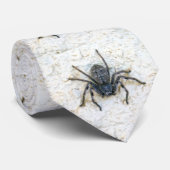 Big Vrouw Huntsman Spider, Stropdas (Opgerold)