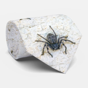 Big Vrouw Huntsman Spider, Stropdas