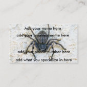 Big Vrouw Huntsman Spider Visitekaartje (Voorkant)