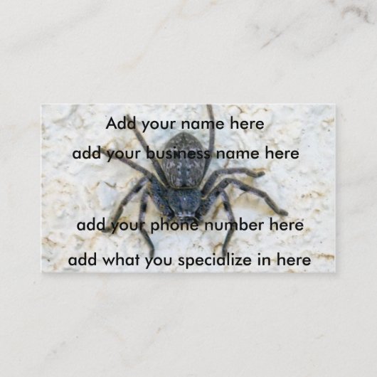 Big Vrouw Huntsman Spider Visitekaartje (Voorkant)