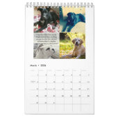 Big Walkies Calendar 2017 Kalender (Mar 2026)
