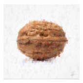 Big Walnut Foto Afdruk (Voorkant)