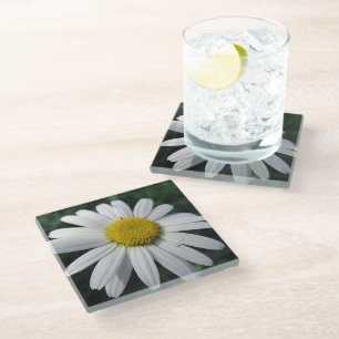 Big White Daisy Glazen Onderzetter