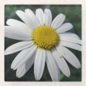 Big White Daisy Glazen Onderzetter (Voorkant)