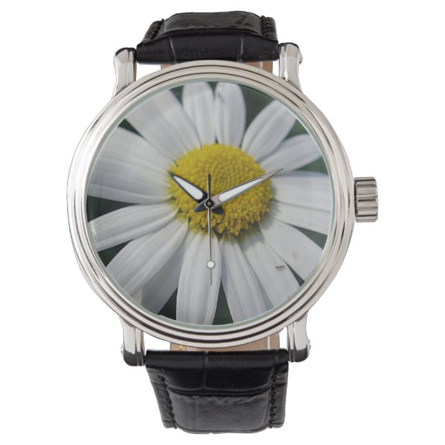 Big White Daisy Horloge (Voorkant)