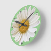 Big White Daisy over Light Sage Green Ronde Klok (Hoek)