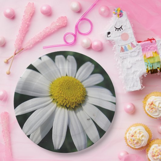 Big White Daisy Papieren Bordje (Feest)