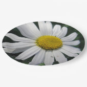 Big White Daisy Papieren Bordje (Gekanteld)