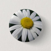 Big White Daisy Ronde Button 3,2 Cm (Voorkant)