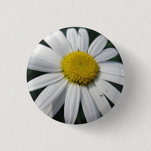 Big White Daisy Ronde Button 3,2 Cm (Voorkant)