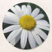 Big White Daisy Ronde Kartonnen Onderzetter (Voorkant)