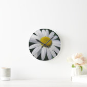 Big White Daisy   Ronde Klok (Huis)