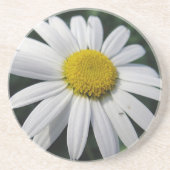 Big White Daisy Zandsteen Onderzetter (Voorkant)
