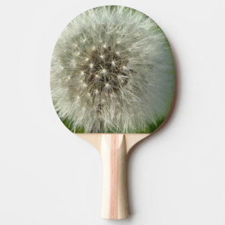 Big White Dandelion Tafeltennisbatje