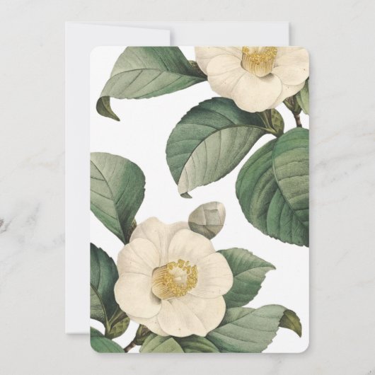 Big White Green Flower Baby shower Invitation Kaart (Achterkant)