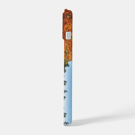 Big Whitetail Buck slaat een pose iPhone 15 Case (Linkerkant)