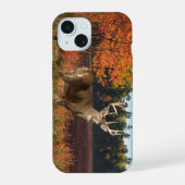 Big Whitetail Buck slaat een pose iPhone 15 Case (Achterkant)