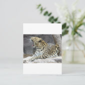 Big Yawn Briefkaart (Staand voorkant)