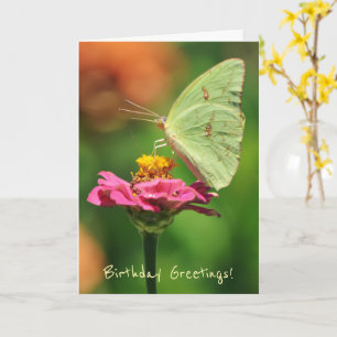 Big Yellow Butterfly op een Flower Birthday Kaart