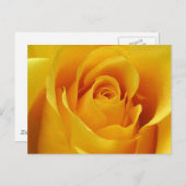 Big Yellow Rose Briefkaart (Voorkant / Achterkant)