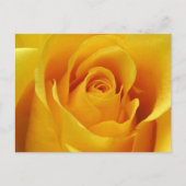 Big Yellow Rose Briefkaart (Voorkant)