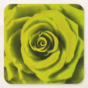 Big Yellow Rose Kartonnen Onderzetters