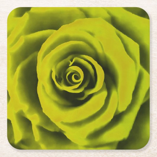 Big Yellow Rose Kartonnen Onderzetters (Voorkant)