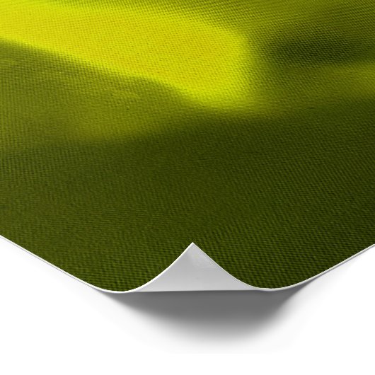 Big Yellow Rose Poster (Hoek)