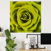 Big Yellow Rose Poster (Thuiskantoor)